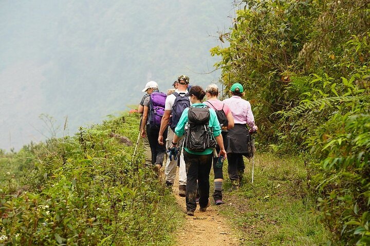 Hiking Through Hoang Su Phi's Most Breathtaking Rice Terraces 8 Days